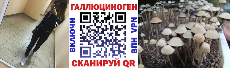 Галлюциногенные грибы прущие грибы  Купить закладки  Иноземцево 